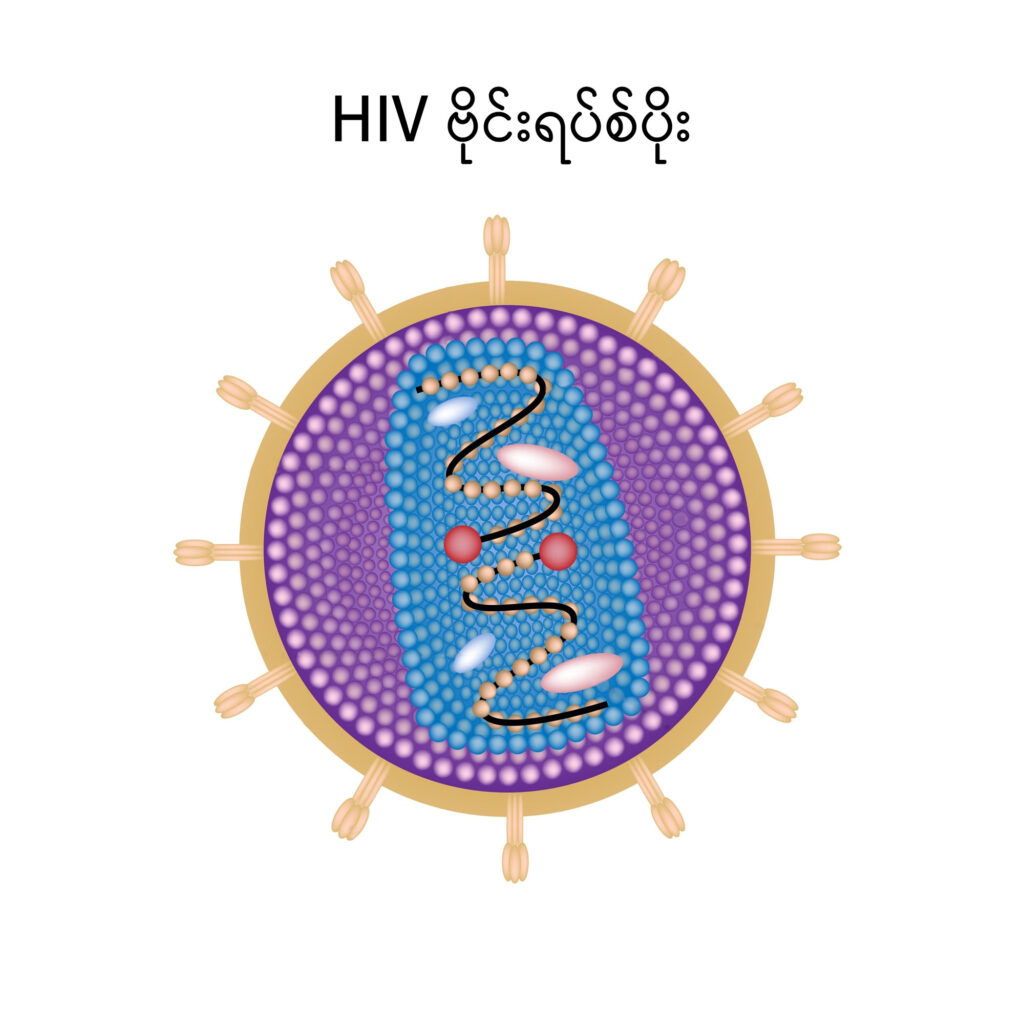 HIV image 1