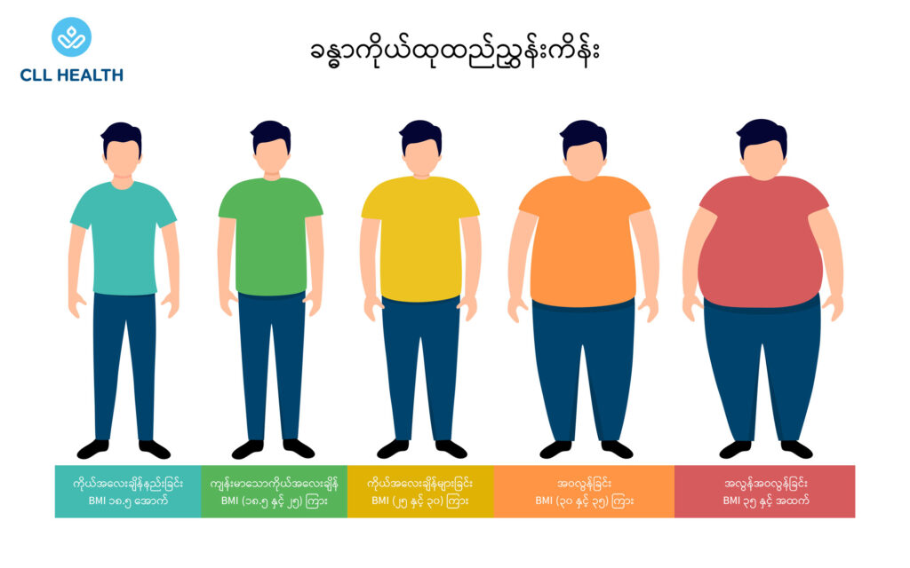 Obesity 2